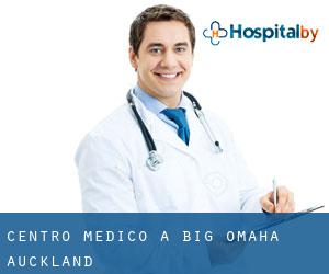 Centro Medico a Big Omaha (Auckland)