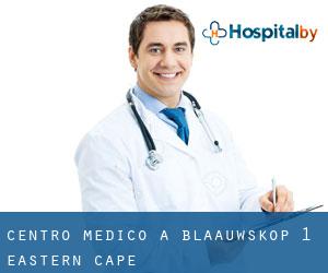 Centro Medico a Blaauwskop (1) (Eastern Cape)