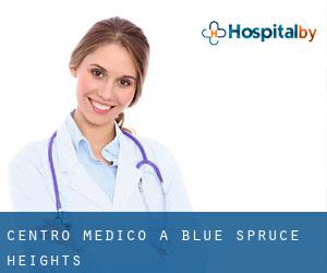 Centro Medico a Blue Spruce Heights