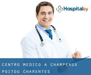 Centro Medico a Champeaux (Poitou-Charentes)