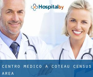 Centro Medico a Coteau (census area)