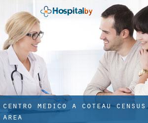 Centro Medico a Coteau (census area)