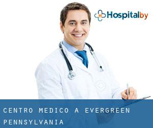 Centro Medico a Evergreen (Pennsylvania)