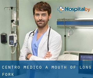 Centro Medico a Mouth of Long Fork