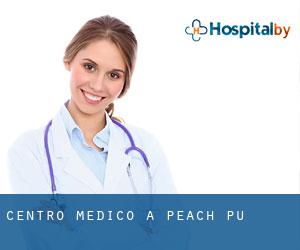 Centro Medico a Peach Pu