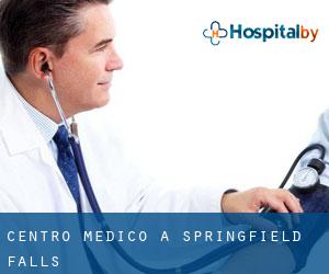 Centro Medico a Springfield Falls