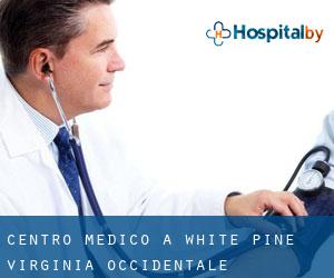 Centro Medico a White Pine (Virginia Occidentale)