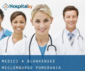 Medici a Blankensee (Meclemburgo-Pomerania Anteriore)