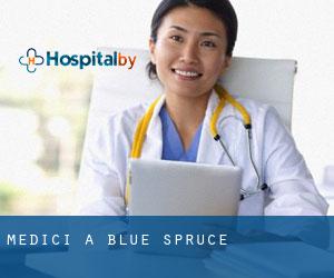 Medici a Blue Spruce