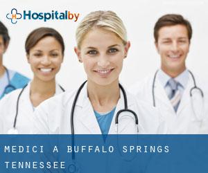 Medici a Buffalo Springs (Tennessee)