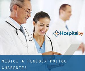 Medici a Fenioux (Poitou-Charentes)