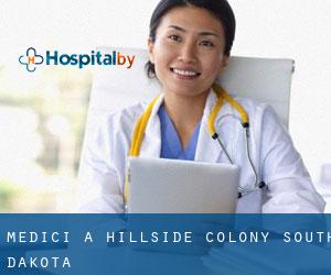 Medici a Hillside Colony (South Dakota)