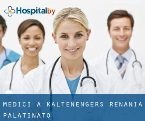 Medici a Kaltenengers (Renania-Palatinato)