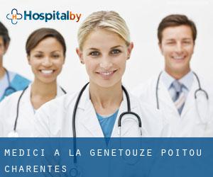 Medici a La Genétouze (Poitou-Charentes)