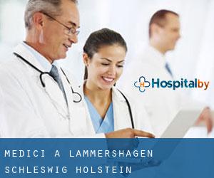 Medici a Lammershagen (Schleswig-Holstein)