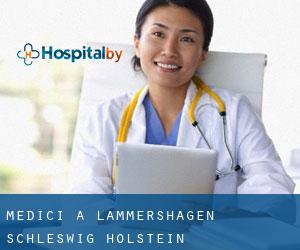 Medici a Lammershagen (Schleswig-Holstein)