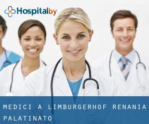 Medici a Limburgerhof (Renania-Palatinato)