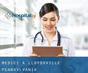 Medici a Lloydsville (Pennsylvania)