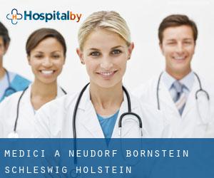 Medici a Neudorf-Bornstein (Schleswig-Holstein)