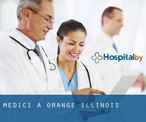 Medici a Orange (Illinois)