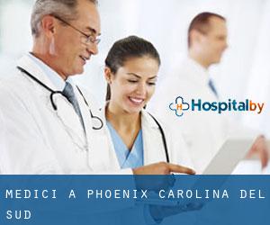 Medici a Phoenix (Carolina del Sud)