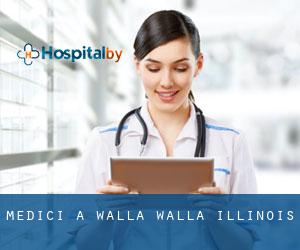 Medici a Walla Walla (Illinois)