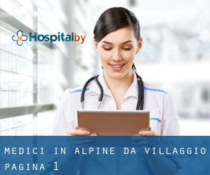 Medici in Alpine da villaggio - pagina 1