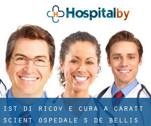 Ist. Di Ricov. E Cura A Caratt. Scient. Ospedale S. De Bellis (Castellana Grotte)