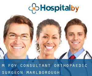 M Foy Consultant Orthopaedic Surgeon (Marlborough)