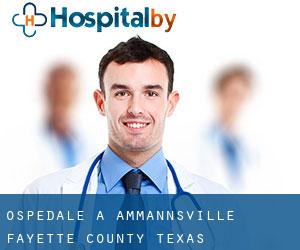 ospedale a Ammannsville (Fayette County, Texas)