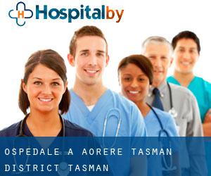 ospedale a Aorere (Tasman District, Tasman)