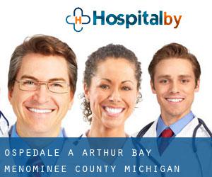 ospedale a Arthur Bay (Menominee County, Michigan)