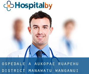 ospedale a Aukopae (Ruapehu District, Manawatu-Wanganui)