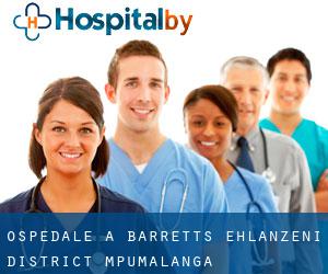 ospedale a Barretts (Ehlanzeni District, Mpumalanga)