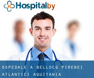 ospedale a Bellocq (Pirenei atlantici, Aquitania)