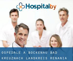 ospedale a Bockenau (Bad Kreuznach Landkreis, Renania-Palatinato)