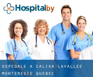 ospedale a Calixa-Lavallée (Montérégie, Quebec)