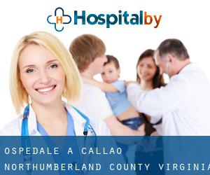 ospedale a Callao (Northumberland County, Virginia)