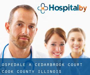 ospedale a Cedarbrook Court (Cook County, Illinois)