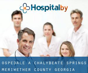 ospedale a Chalybeate Springs (Meriwether County, Georgia)