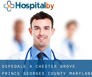 ospedale a Chester Grove (Prince Georges County, Maryland)