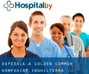 ospedale a Colden Common (Hampshire, Inghilterra)