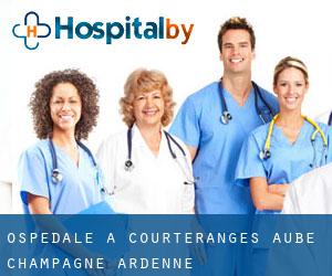 ospedale a Courteranges (Aube, Champagne-Ardenne)