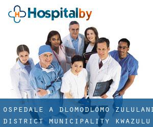 ospedale a Dlomodlomo (Zululand District Municipality, KwaZulu-Natal)