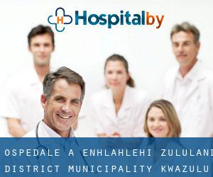 ospedale a Enhlahlehi (Zululand District Municipality, KwaZulu-Natal)