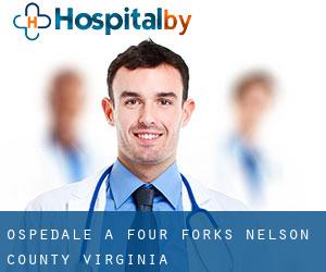 ospedale a Four Forks (Nelson County, Virginia)
