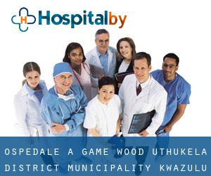 ospedale a Game Wood (uThukela District Municipality, KwaZulu-Natal)