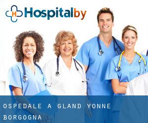 ospedale a Gland (Yonne, Borgogna)