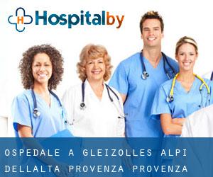 ospedale a Gleizolles (Alpi dell'Alta Provenza, Provenza-Alpi-Costa Azzurra)