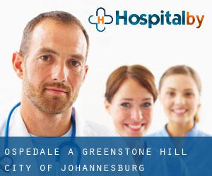 ospedale a Greenstone Hill (City of Johannesburg Metropolitan Municipality, Gauteng)